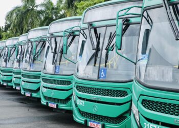 Novas linhas de ônibus começam a operar em Salvador a partir desta quarta-feira (1º)