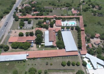 Diversão, união e disciplina: Acampamento Capivara vai reunir crianças e jovens entre 8 e 13 anos