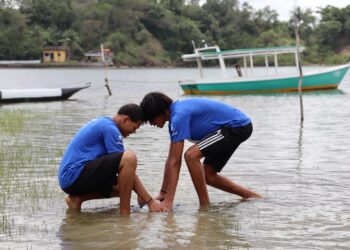Recife das Pinaúnas faz replantio de mangue e conscientização em Comunidade Quilombola de Candeias