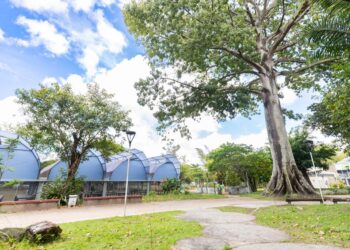 Horto Florestal de Camaçari passa por manutenção