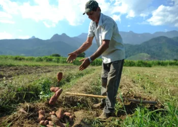 BNDES vai liberar R$ 12 bi para produtores rurais com perdas de safra