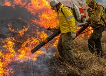 Pré-COP: Brasil propõe resposta global a incêndios florestais