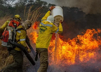 Brigadas controlam dois dos três incêndios na Chapada dos Veadeiros