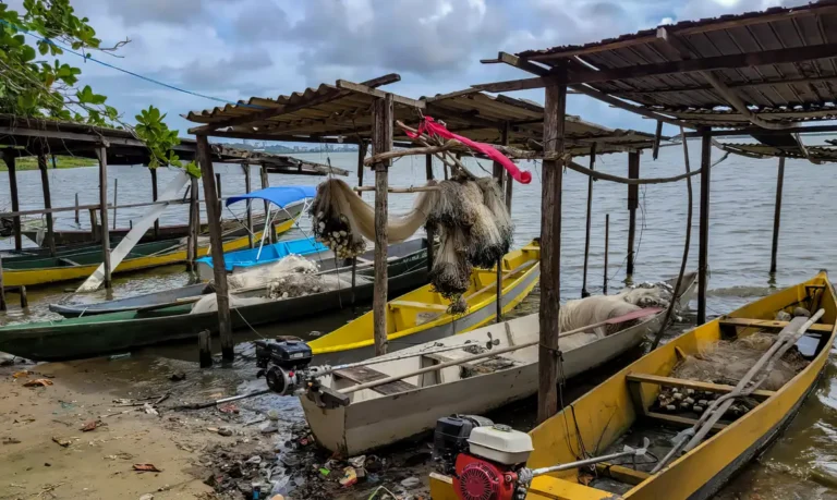 pesca
