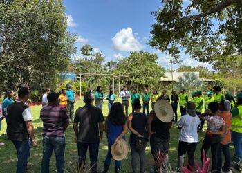 Camaçari ganha destaque nacional com projeto que utiliza soluções baseadas na natureza