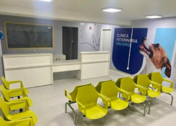 Outubro Rosa Pet: Unijorge promove ação social para prevenção do câncer de mama em cadelas e gatas