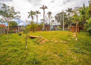 Parque Naturalizado do Centro de Interpretação da Mata Atlântica recebe mais de 5 mil visitantes no seu primeiro mês