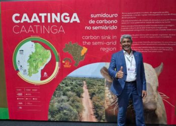 Jerônimo apresenta experiências da Bahia em transição energética e articula parcerias na COP30