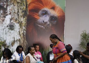 COP30: financiamento, transição e adaptação são centro das negociações