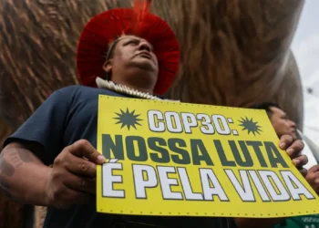 Da Eco92 à COP30: a trajetória de enfrentamento à mudança do clima