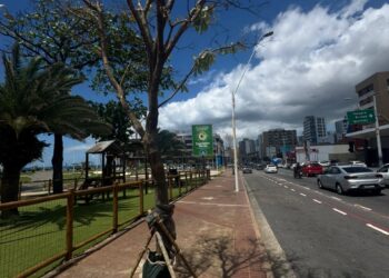 Corredor Verde da Av. Manoel Dias avança com monitoramento contínuo e resultados já visíveis