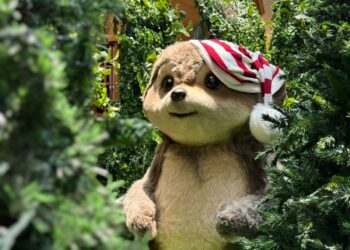 Chegada do Papai Noel e Festival de Natal inauguram temporada de luzes e magia no Shopping Barra