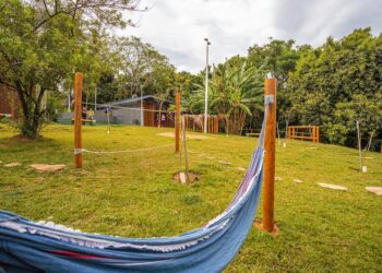 Parque Naturalizado do Centro de Interpretação da Mata Atlântica recebe mais de 5 mil visitantes no seu primeiro mês