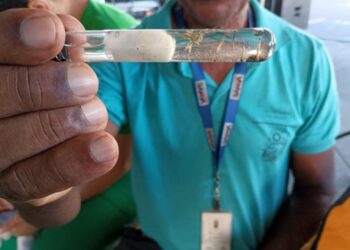 Bahia reforça combate à dengue durante Semana Nacional de Mobilização