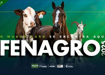 Fenagro 2025 anuncia programação musical com dois dias de grandes shows na Arena