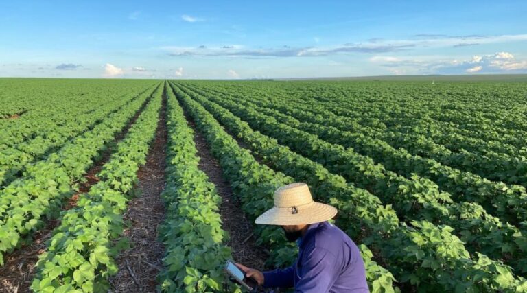 agricultura-no-brasil-produtor-trabalhando-na-lavoura-qtvav8td2o48h0s69nerqd9mr7ohshfkvazjv4j7go