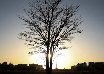 Cientista alerta para risco de aquecimento global por longo tempo