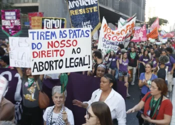 Ataque a aborto legal espalha “pânico moral”, diz dirigente do Conanda