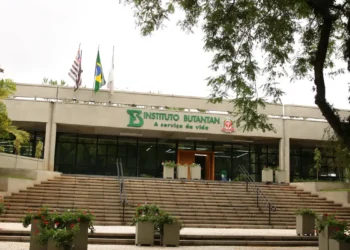 MS aprova parcerias para produção de medicamentos destinados ao SUS