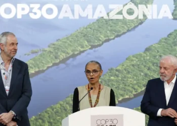 Alemanha dará 1 bilhão de euros para florestas tropicais, diz Marina