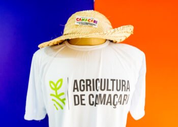 Ação Semeando Camaçari distribuirá 465kg de sementes de hortaliças
