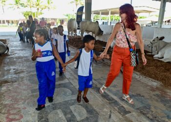 Alunos de 25 escolas da rede municipal fazem visitas guiadas à Fenagro
