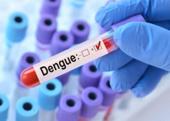 Chegada do verão exige cuidados redobrados com o mosquito responsável pela dengue, zika e chikungunya