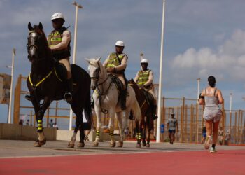 Cavalaria nas ruas: 70 cavalos da PM reforçam segurança no Verão
