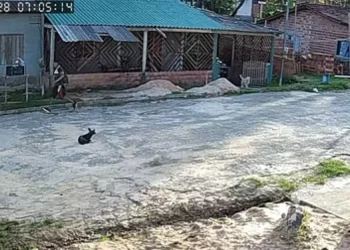 Pará: homem é preso após atear fogo na companheira na presença dos filhos