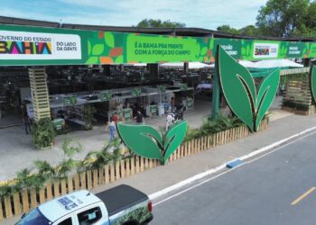 Fenagro 2025: Encontro nesta terça (2) reúne secretários de seis estados para impulsionar desenvolvimento do MATOPIBA e SEALBA