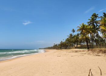 Busca Vida reforça ações de prevenção e cuidados ambientais para a chegada do Verão