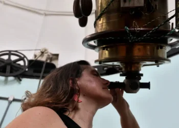 Produção científica brasileira volta a crescer em 2024