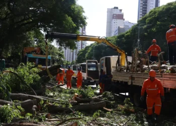 Dois dias após ciclone, SP ainda tem 800 mil moradores sem energia