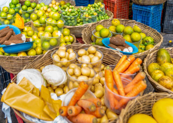 Agricultores de Camaçari firmam contrato com o IFBA para fornecimento de alimentos da merenda escolar