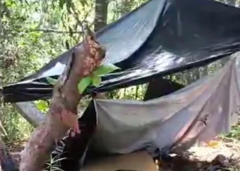 Forças de segurança desmontam acampamentos de facção no recôncavo baiano