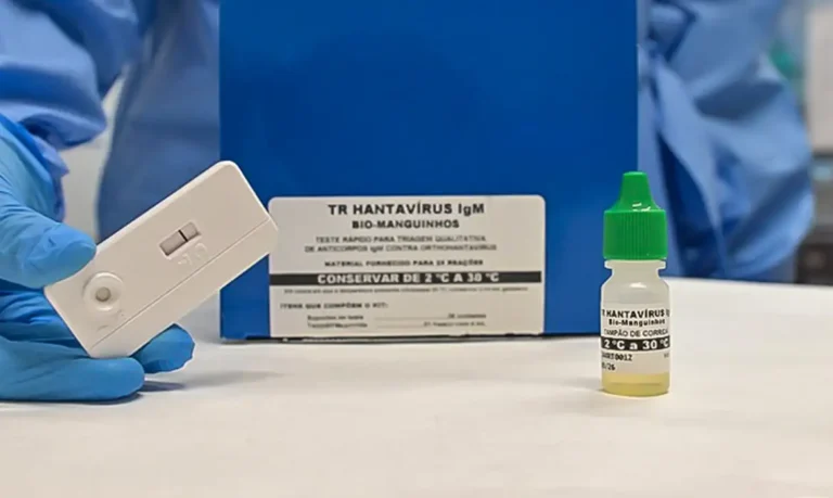 hantavirose