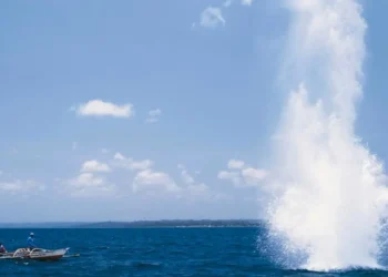 PF realiza operação contra pesca ilegal com explosivos na Baía de Todos-os-Santos