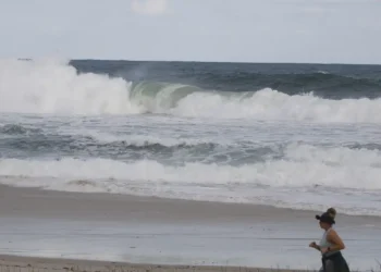 Consciência ambiental cresce em áreas com projetos de longa duração