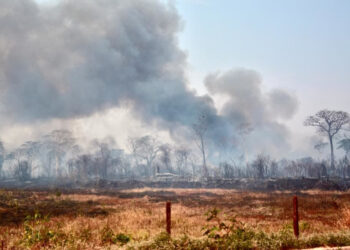 Período de seca em Juazeiro acende alerta para queimadas; Neoenergia Coelba reforça ações de segurança em toda a Bahia