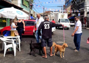 Salvador ultrapassa meta e alcança 102,5% de cobertura na vacinação antirrábica em 2025