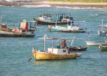 Sedap inicia em fevereiro recadastramento do Programa Mais Pesca