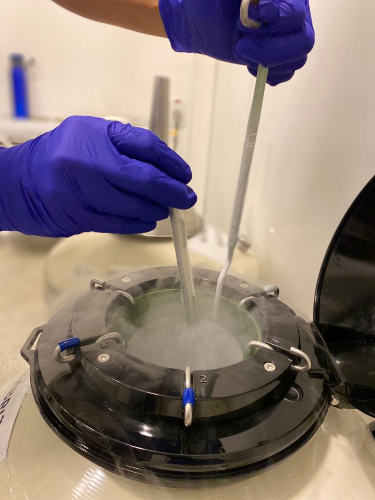 Laboratório de Reprodução Humana da Huntington Cenafert_Divulgação Huntington Cenafert