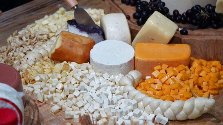 Queijos_Foto_MateusPereira_SeagriBA (1085)