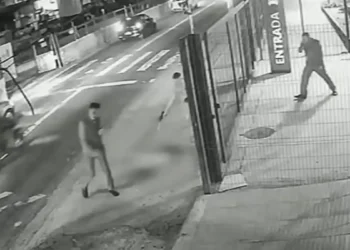 Cachorro é morto com dez tiros em frente a ponto de ônibus em SP