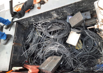 Neoenergia Coelba realiza a Operação Gatonet em 22 municípios nesta semana; confira