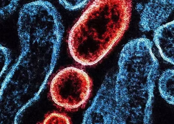 OMS dispensa restrições de viagem à Índia após casos de Nipah e aponta baixo risco de propagação