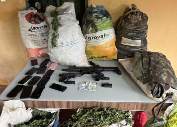 Maior apreensão de drogas de 2026 acumula 3 toneladas de maconha encontradas e 200 mil pés da erva erradicados