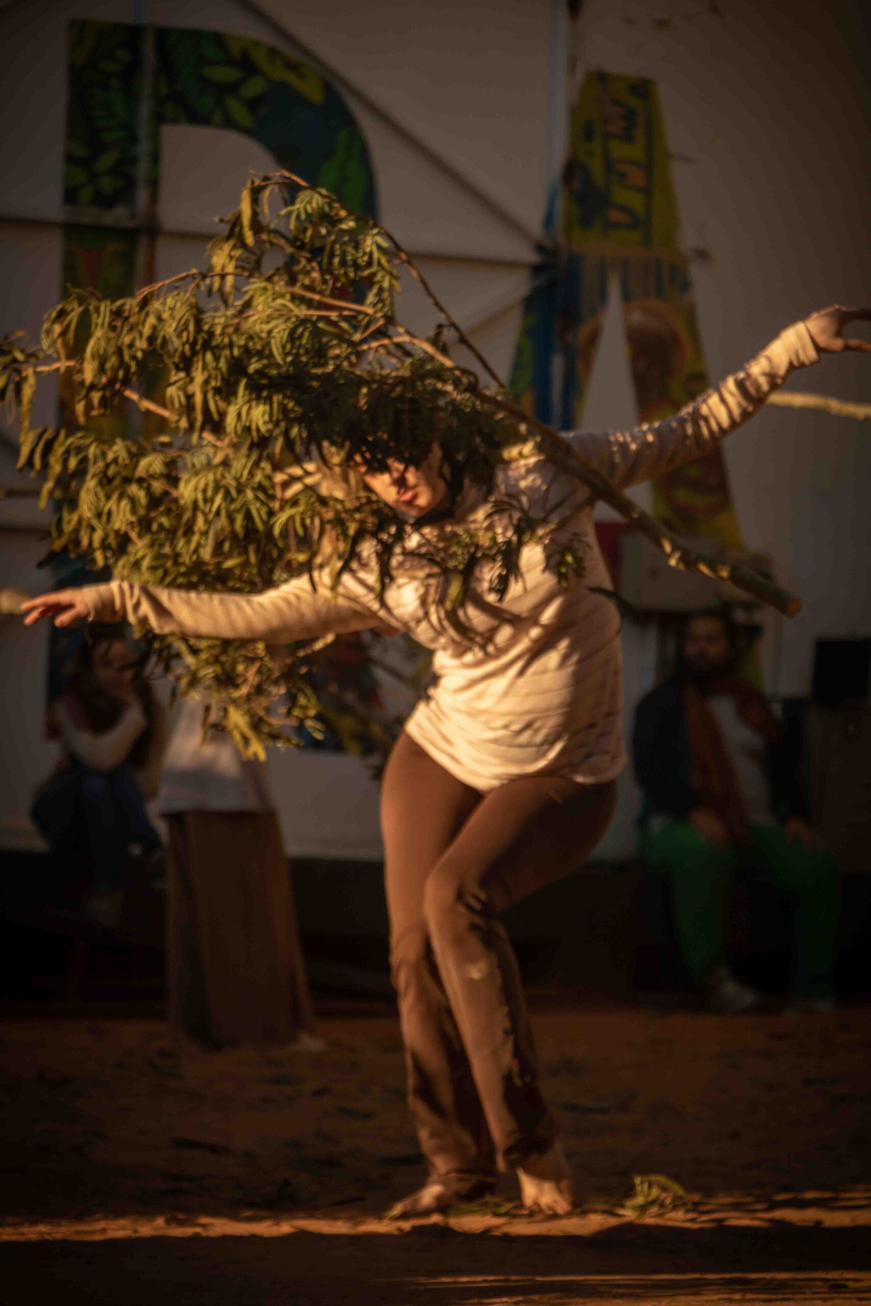 Projeto [RE]FLORESTA leva instalação performática de dança para o Teatro Gregório de Mattos de 14 a 22 de março