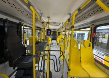 Bosque das Bromélias recebe novos ônibus com ar-condicionado a partir deste domingo (1º)