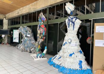 Exposição “Zonas Úmidas” chama atenção para a poluição dos ecossistemas aquáticos